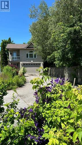 276 Sheridan Court, Newmarket, ON - Outdoor