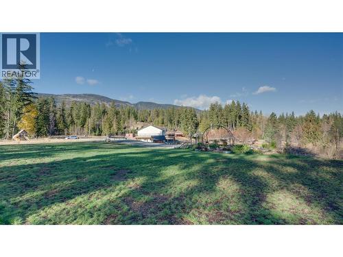 2086 Yankee Flats Road, Salmon Arm, BC - Outdoor With View