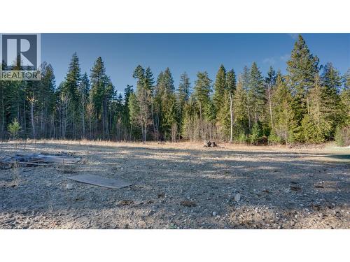 2086 Yankee Flats Road, Salmon Arm, BC - Outdoor With View
