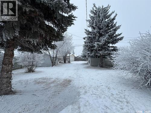 304 5Th Avenue E, Biggar, SK - Outdoor