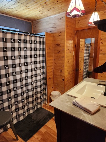 Salle de bains - 62 Ch. Lakeview, Saint-Adolphe-D'Howard, QC - Indoor Photo Showing Bathroom