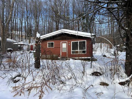 Overall view - 82Z Rue Du Lac-Des-Sittelles, Austin, QC 