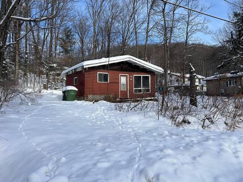 Vue d'ensemble - 82Z Rue Du Lac-Des-Sittelles, Austin, QC 