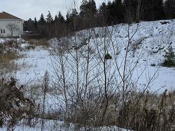 SF13 16 Lauderdale Court  Halifax, NS B3S 0C8