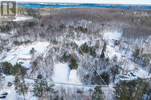 1355 Walkers Point Road, Muskoka Lakes (Wood (Muskoka Lakes)), ON 