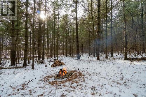 Pt Lt 24 Concession 5, Lambton Shores (Arkona), ON 