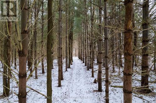 Pt Lt 24 Concession 5, Lambton Shores (Arkona), ON 