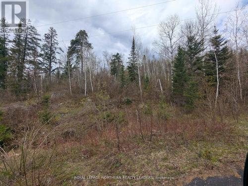 1619 Lava Mountain Road, Black River-Matheson (Matheson), ON 