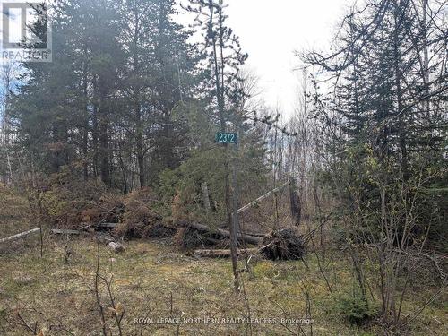 1619 Lava Mountain Road, Black River-Matheson (Matheson), ON 