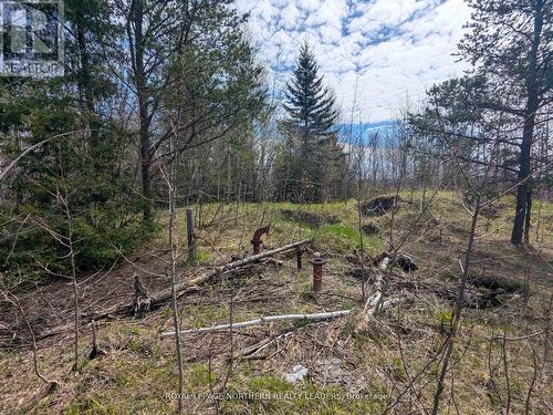 1619 Lava Mountain Road, Black River-Matheson (Matheson), ON 