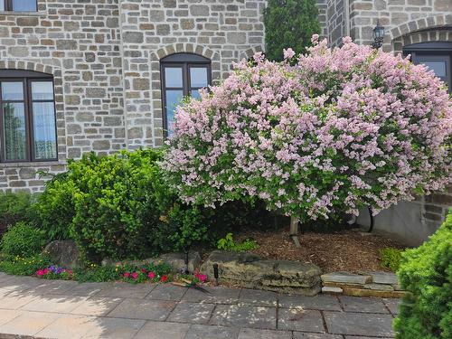 Façade - 71Z  - 73Z Place Bourdages, Terrebonne (Terrebonne), QC - Outdoor