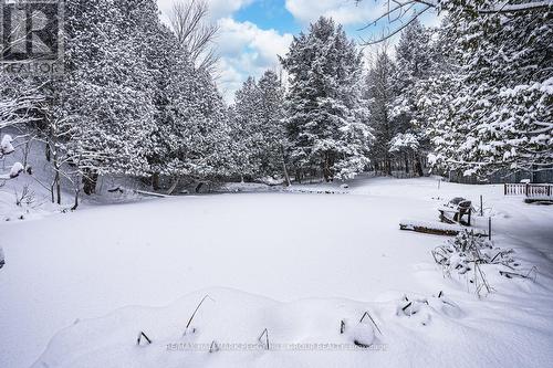 8275 County Road 9, Clearview, ON - Outdoor