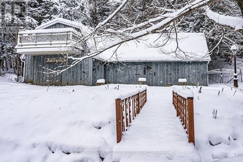 8275 County Road 9, Clearview, ON - Outdoor