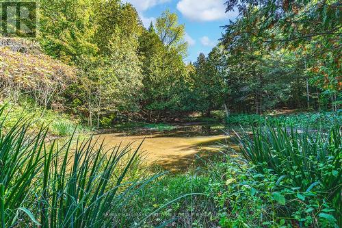 8275 County Road 9, Clearview, ON - Outdoor