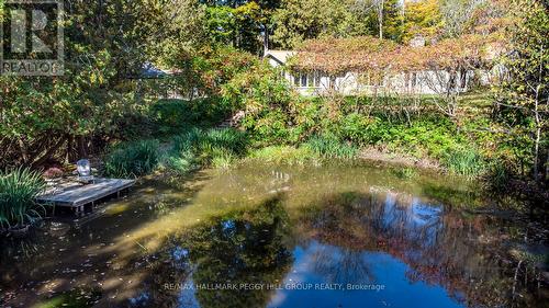 8275 County Road 9, Clearview, ON - Outdoor