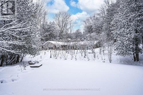 8275 County Road 9, Clearview, ON - Outdoor With View