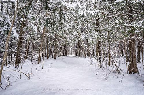 8275 County Road 9, Clearview, ON - Outdoor With View