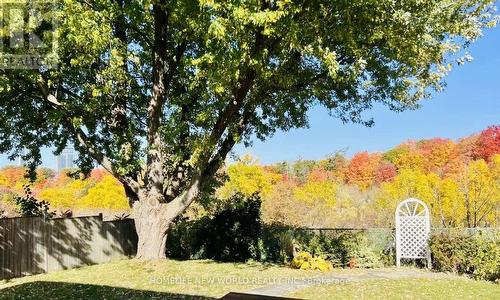 102 Willowbrook Road, Markham, ON - Outdoor