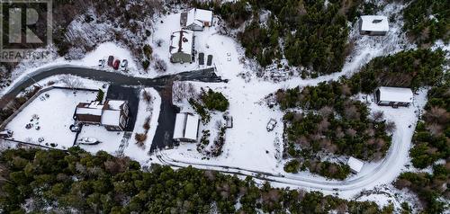 6 Pine Marsh Road  Conception Bay South, NL A1W 5A5