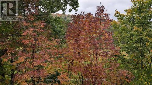 27-202 Golfview - Deerhurst Drive, Huntsville (Chaffey), ON - Outdoor