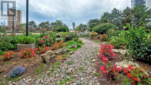 1219 - 551 The West Mall, Toronto, ON - Outdoor