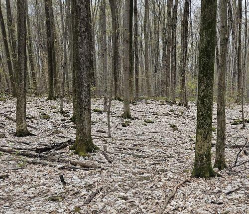 Terre/Terrain - Boul. Lakeview, Beaconsfield, QC 