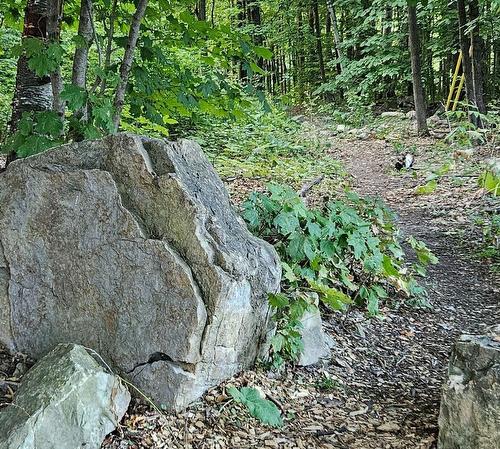 Terre/Terrain - Boul. Lakeview, Beaconsfield, QC 