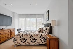 Chambre à coucher principale - 