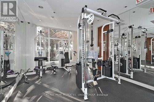 610 - 1 Palace Pier Court, Toronto, ON - Indoor Photo Showing Gym Room