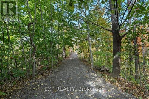 3169 King Street, Lincoln, ON - Outdoor With View