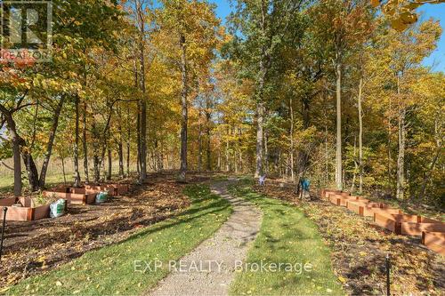 3169 King Street, Lincoln, ON - Outdoor With View