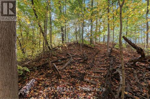 3169 King Street, Lincoln, ON - Outdoor With View
