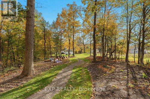 3169 King Street, Lincoln, ON - Outdoor With View