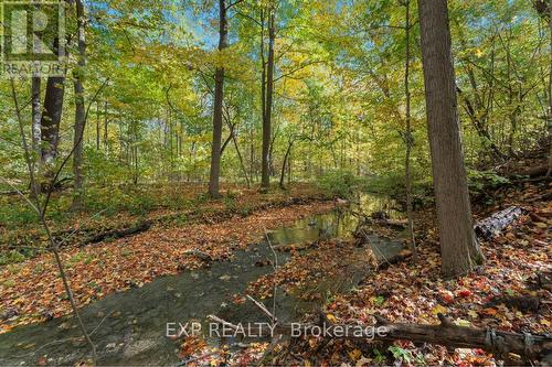 3169 King Street, Lincoln, ON - Outdoor With View