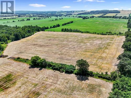 8383 Lander Road, Hamilton Township, ON 