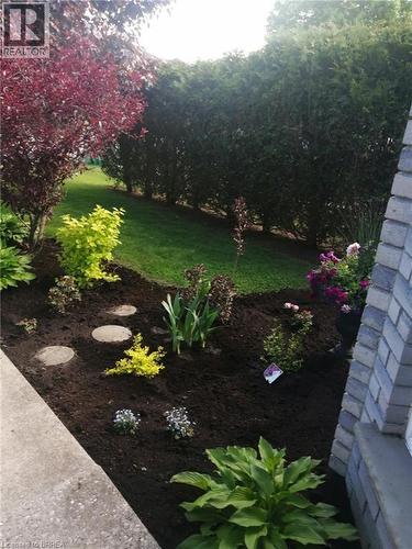 Spring front yard - 14 Dunton Lane, Paris, ON - Outdoor