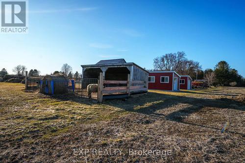 8923 Morning Glory Road, Georgina, ON 