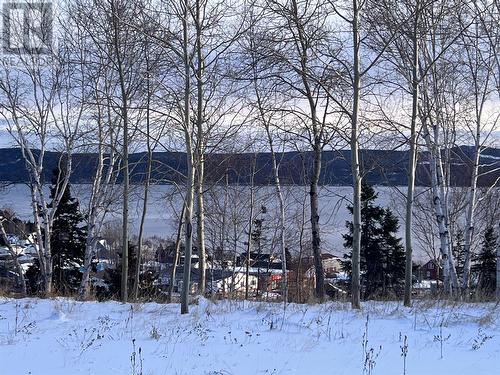 36 Maple Street, Springdale, NL 