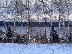 36 Maple Street  Springdale, NL A0J 1T0