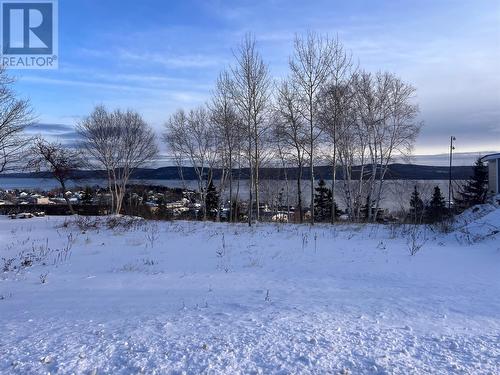 36 Maple Street, Springdale, NL 