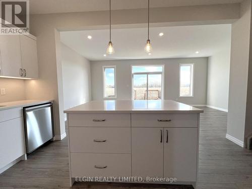 75 Braun Avenue, Tillsonburg, ON - Indoor Photo Showing Kitchen