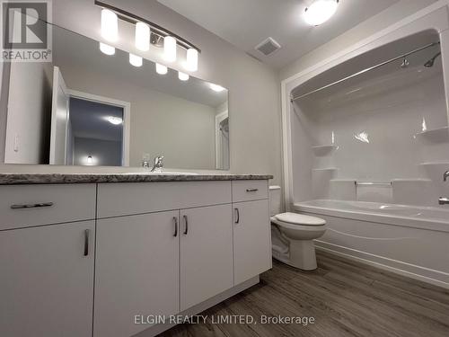 75 Braun Avenue, Tillsonburg, ON - Indoor Photo Showing Bathroom