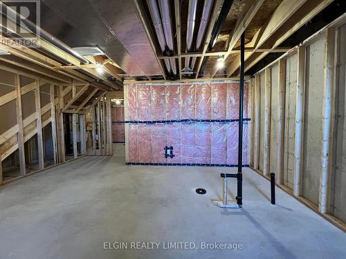 75 Braun Avenue, Tillsonburg, ON - Indoor Photo Showing Basement