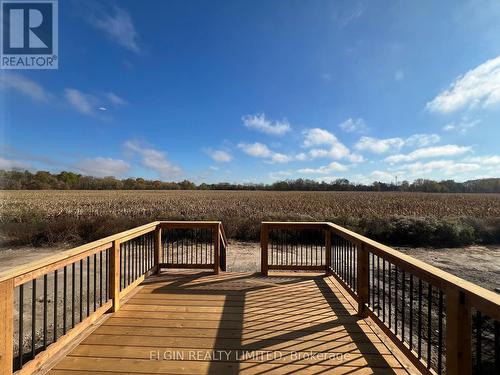 75 Braun Avenue, Tillsonburg, ON - Outdoor With Deck Patio Veranda