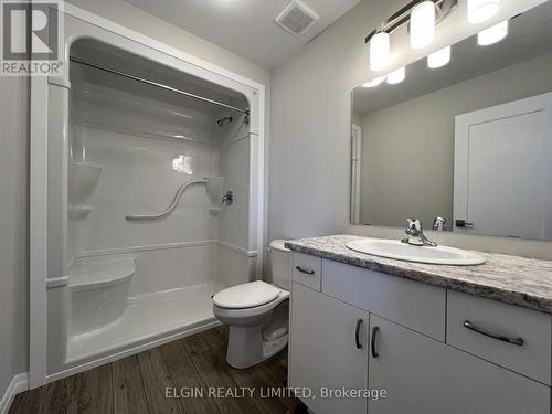 73 Braun Avenue, Tillsonburg, ON - Indoor Photo Showing Bathroom