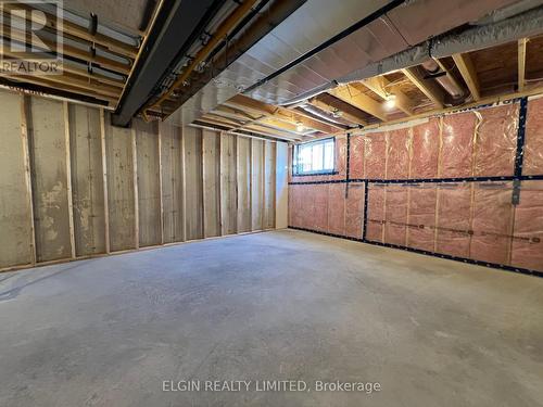 73 Braun Avenue, Tillsonburg, ON - Indoor Photo Showing Basement