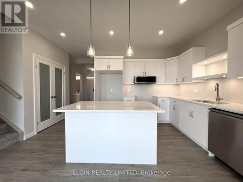 73 Braun Avenue, Tillsonburg, ON - Indoor Photo Showing Kitchen With Upgraded Kitchen