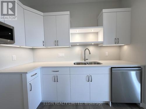 73 Braun Avenue, Tillsonburg, ON - Indoor Photo Showing Kitchen With Double Sink