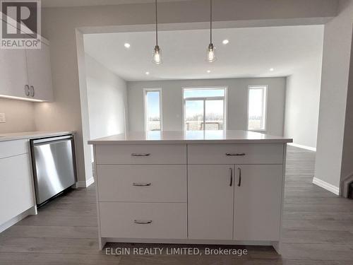 73 Braun Avenue, Tillsonburg, ON - Indoor Photo Showing Kitchen