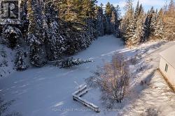 perfect skating rink - 